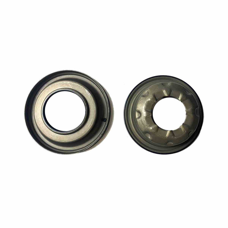 Piston Kit (2) 45RFE