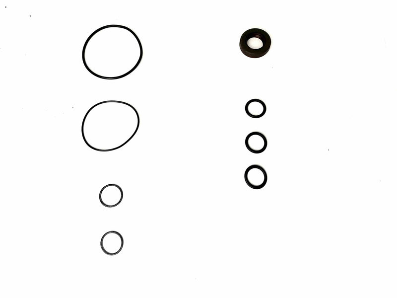 Power Steering Pump Seal Kit Transtec Buick Pontiac Oldsmobile Saturn