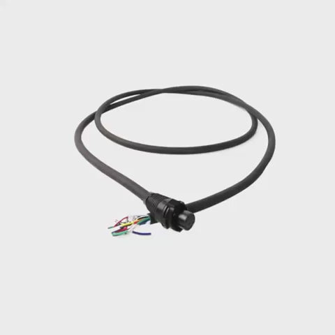 Harness External Female 10 pin 190 cm 01M