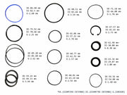 Power Steering Gear Seal Kit Chrysler Dodge Plymouth 