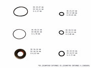 Pump Seal Kit For Cherokee Cutlass Ranger Bronco