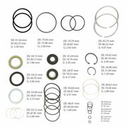 Complete Gear Seal Kit Transtec Saginaw 710 Dual Piston Metric 
