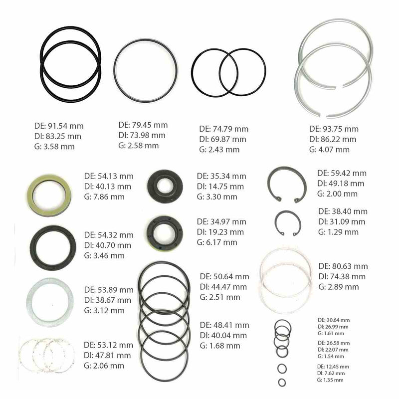 Complete Gear Seal Kit Transtec Saginaw 710 Dual Piston Metric 