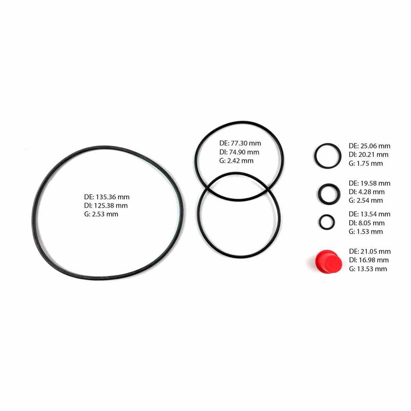Pump Seal Kit Transtec Saginaw Blue Bird Mod-143