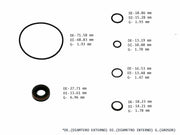 Power Steering Pump Seal Kit Infiniti 620 M35 QX4 Mazda 626 Protege Nissan Pathfinder Senta