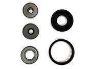 Overhaul Kit Transtec with Pistons 6L80 MYC